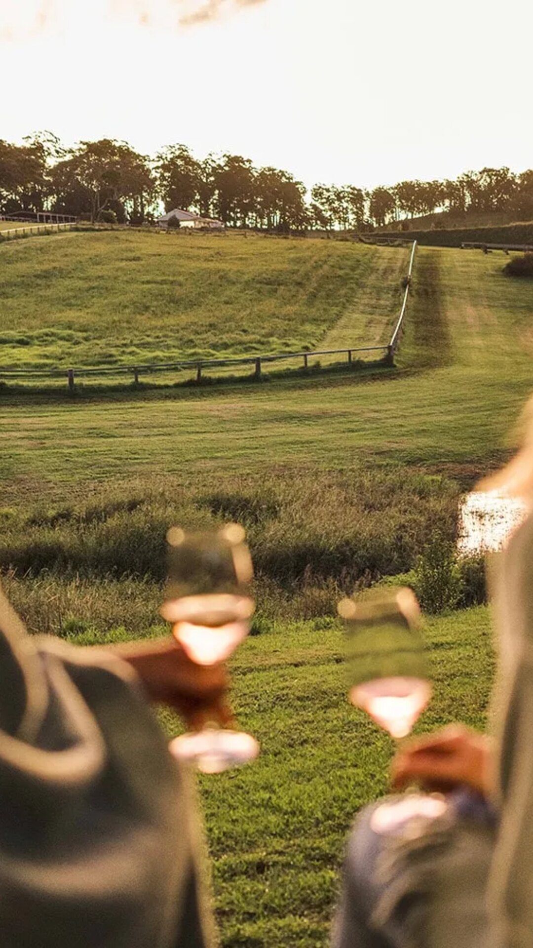 Guests taking in the Beechmont Estate hinterland view.