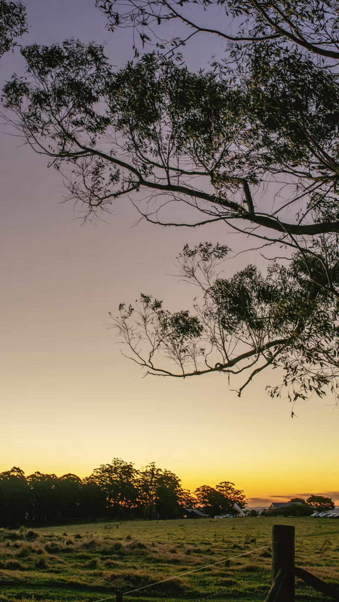 Golden-hour view across Spicers Peak Lodge grounds.