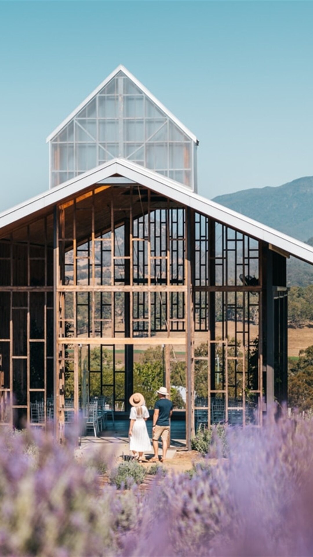 Guests walking toward the Kooroomba Lavender Farm chapel.