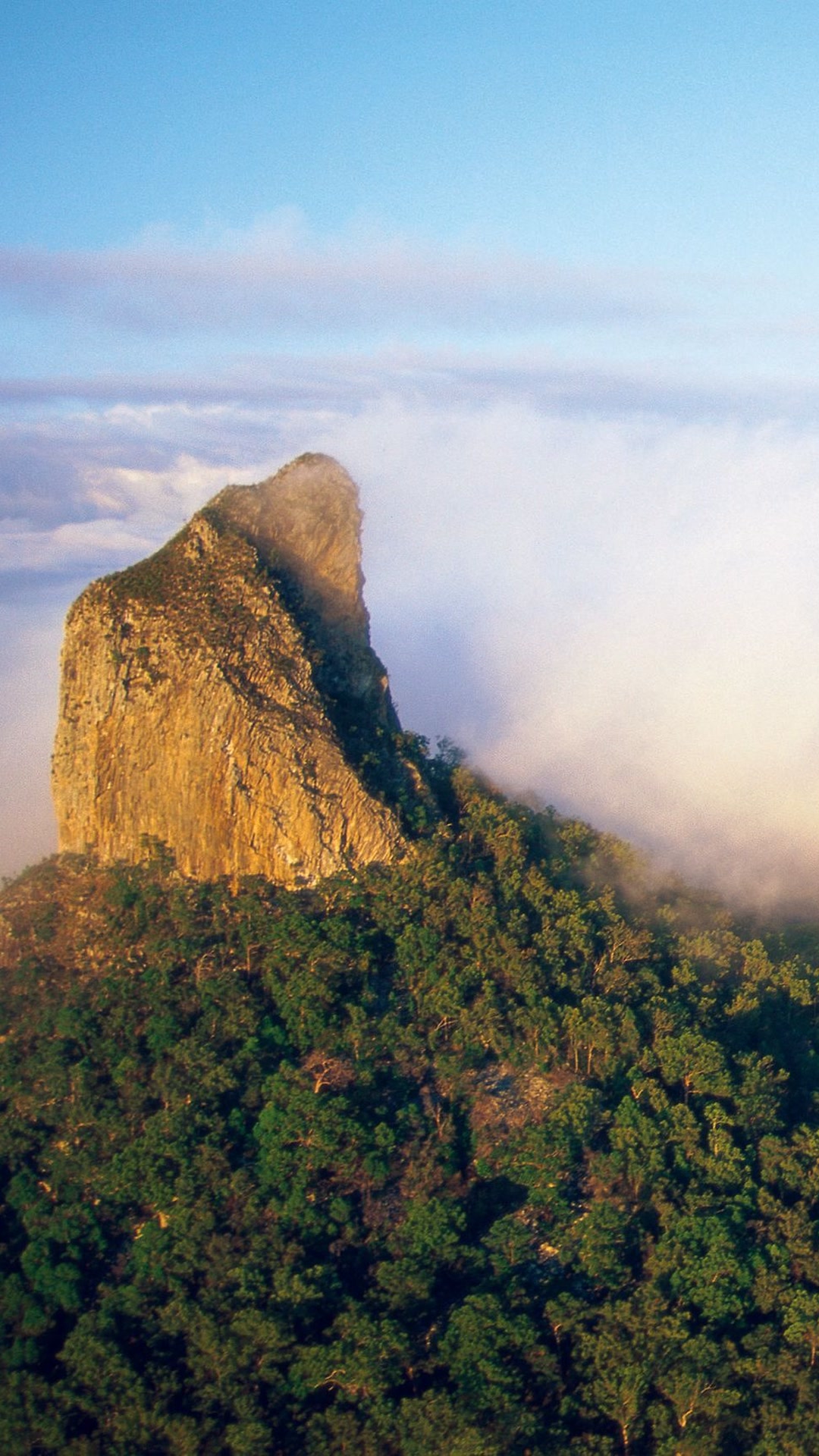 Glass House Mountain peak rising beside low cloud.