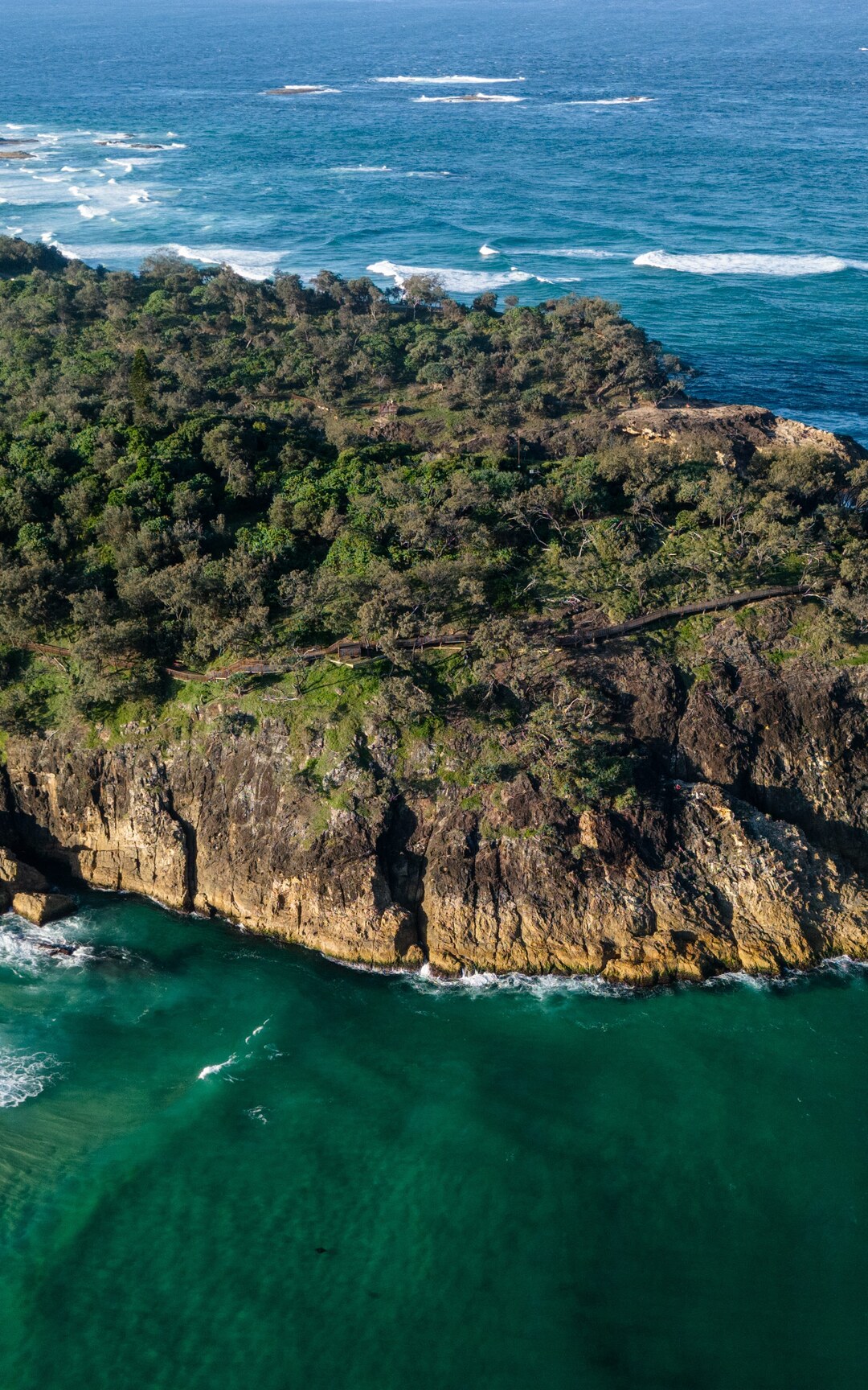Aerial view of a forested island headland and ocean coastline.