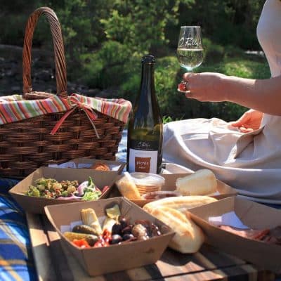 Picnic at O'Reilly's