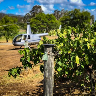Albert River Wines