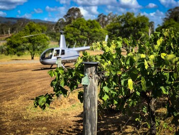 Helicopter Landing for Wine Tour
