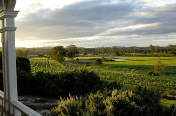Vines of Albert River Winery