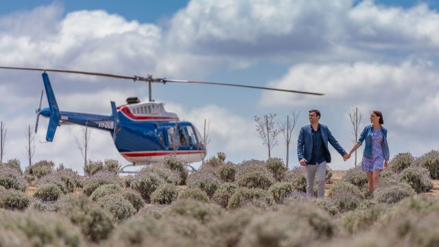 Kooroomba Lavender Farm by Helicopter