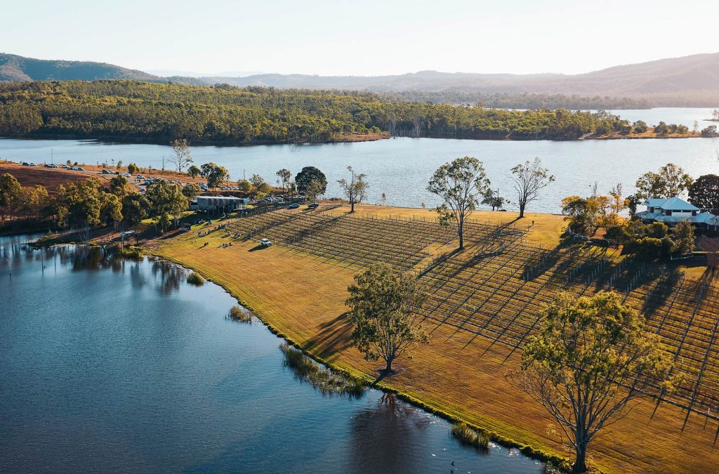 Overflow Estate 1895 vineyard and Lake Wyaralong from above.