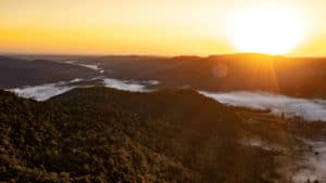 hazelwood_estate_scenic_rim