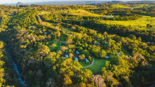 Spicers Tamarind from Above