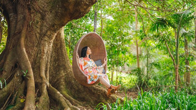 Spicers Tamarind Forest