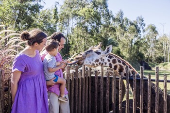 Australia Zoo wildlife experience