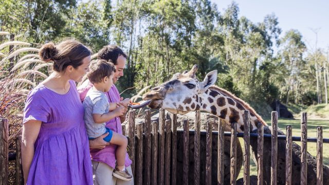 1064827-134 1064827-134