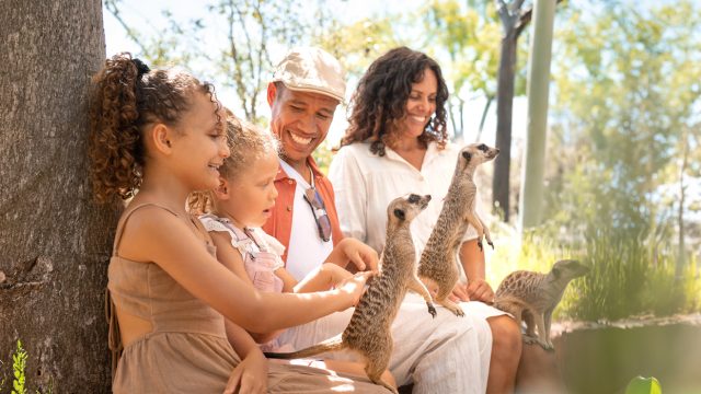 9542_az_website_banner_updates_july2024_v1_2240-x-700_platinum-tour 9542_az_website_banner_updates_july2024_v1_2240-x-700_platinum-tour