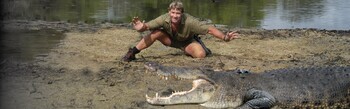 Crocodiles at Australia Zoo