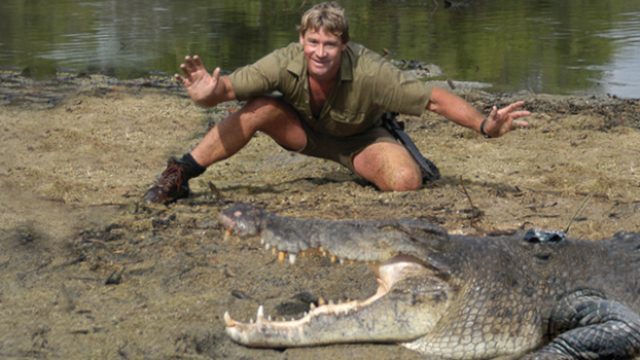 crocodiles-1 crocodiles-1