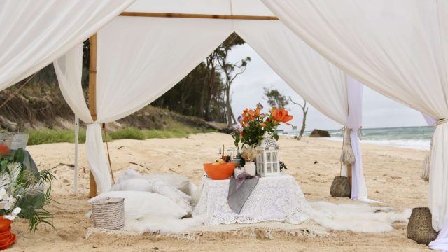 Proposal Picnic Proposal picnic detail