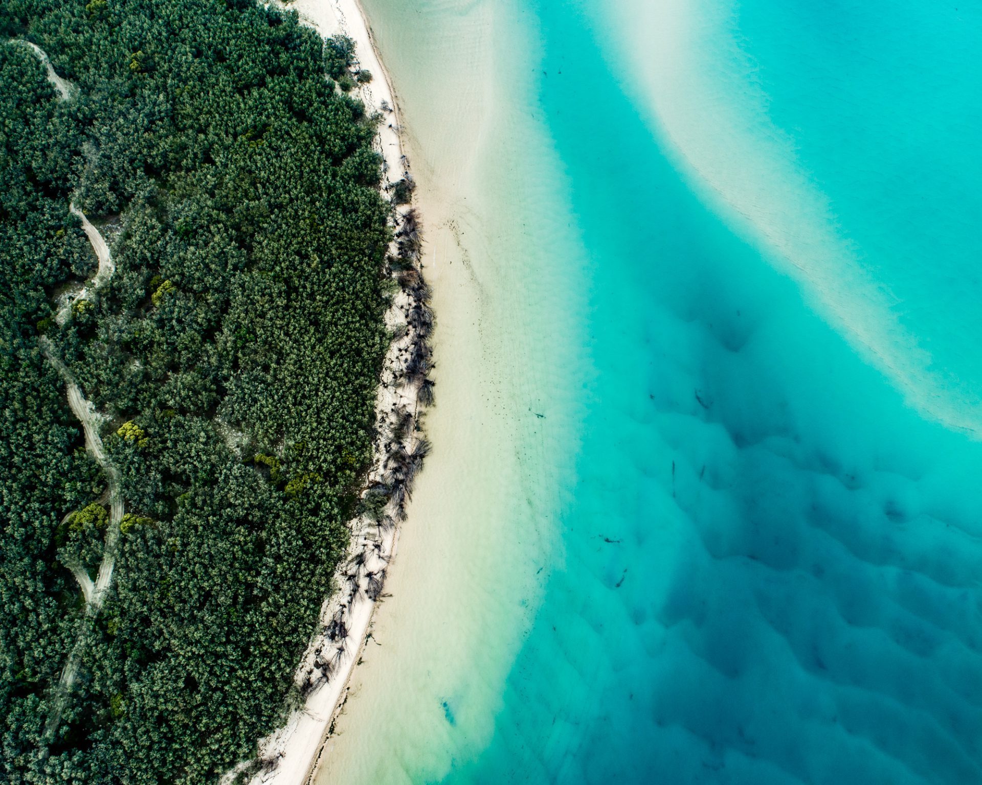 Aerial view of turquoise water and coastal vegetation.