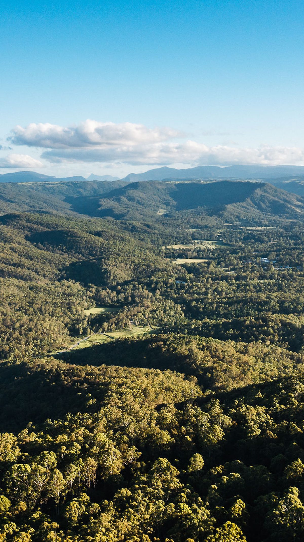 Aerial view across Tamborine Mountain and the Scenic Rim.
