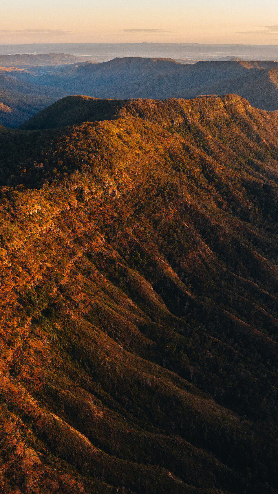 Scenic Rim trail and country landscape