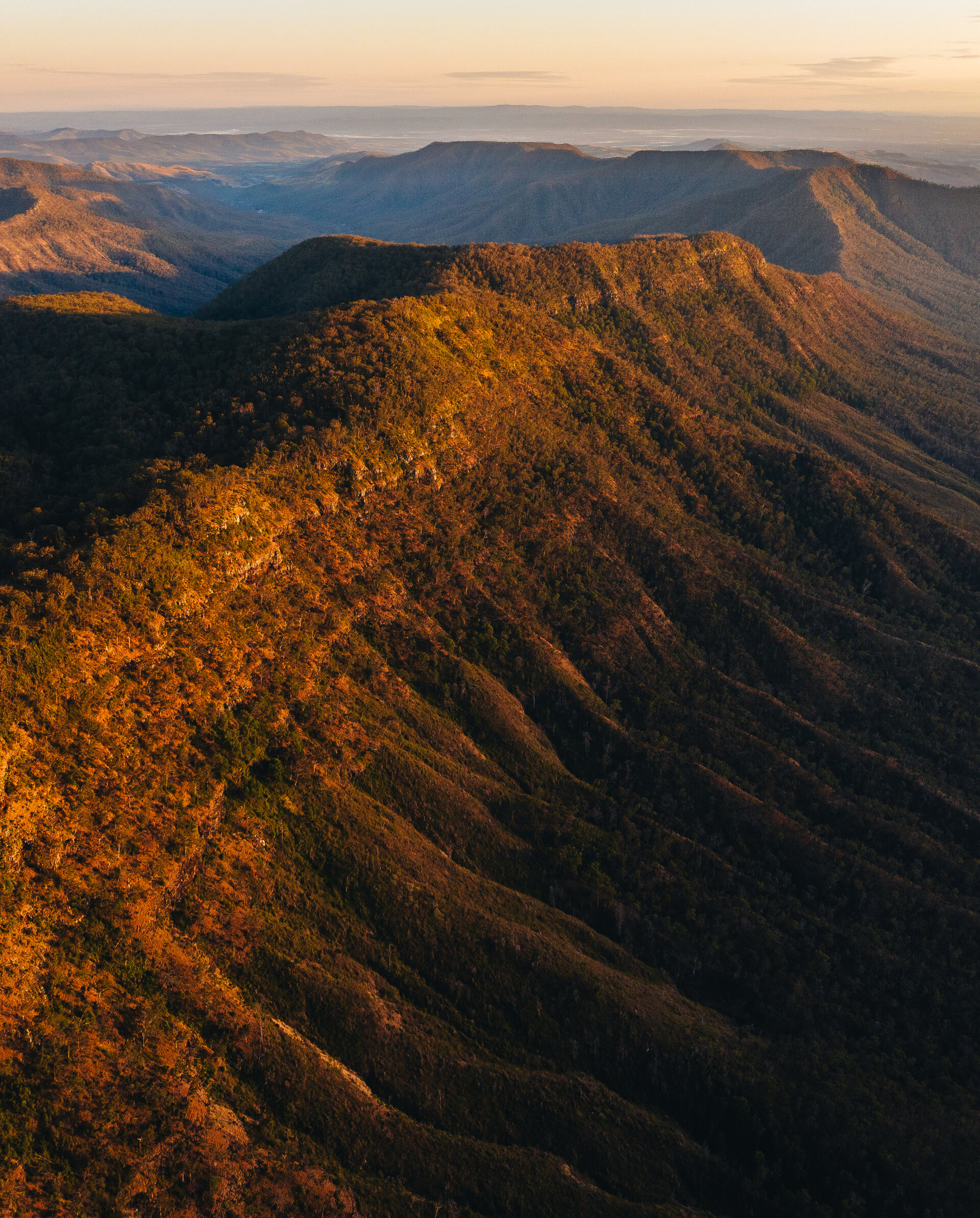 Scenic Rim trail and country landscape