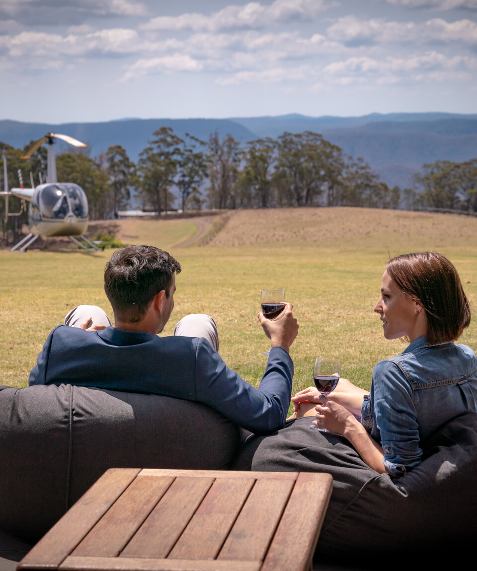 Wine and Stein helicopter tour experience image