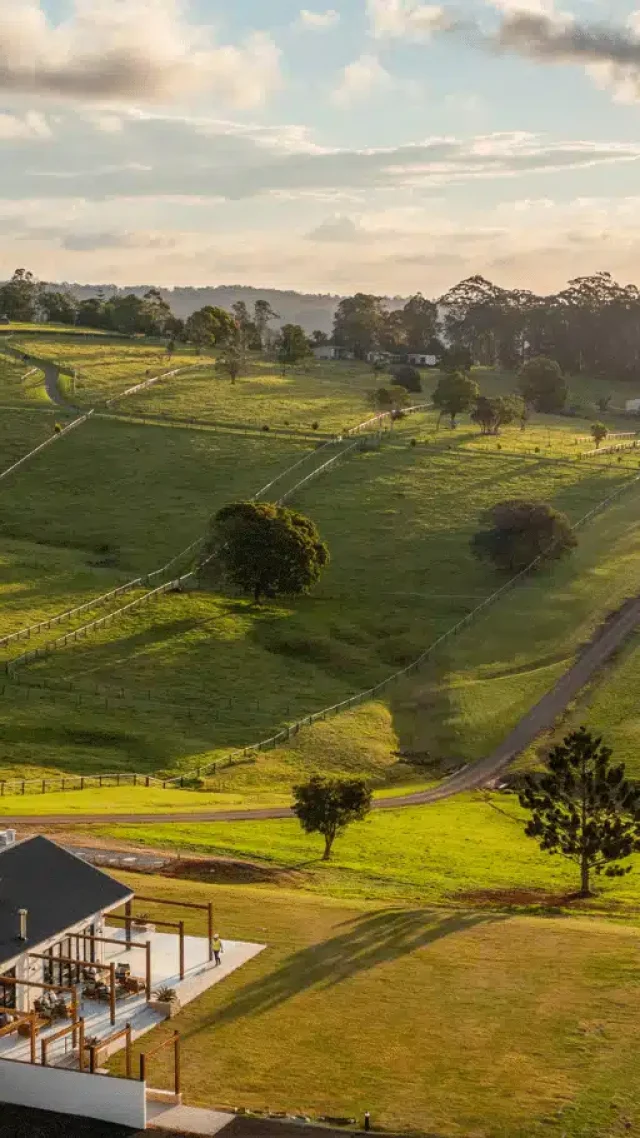 Golden-hour view across Beechmont Estate accommodation and restaurant.