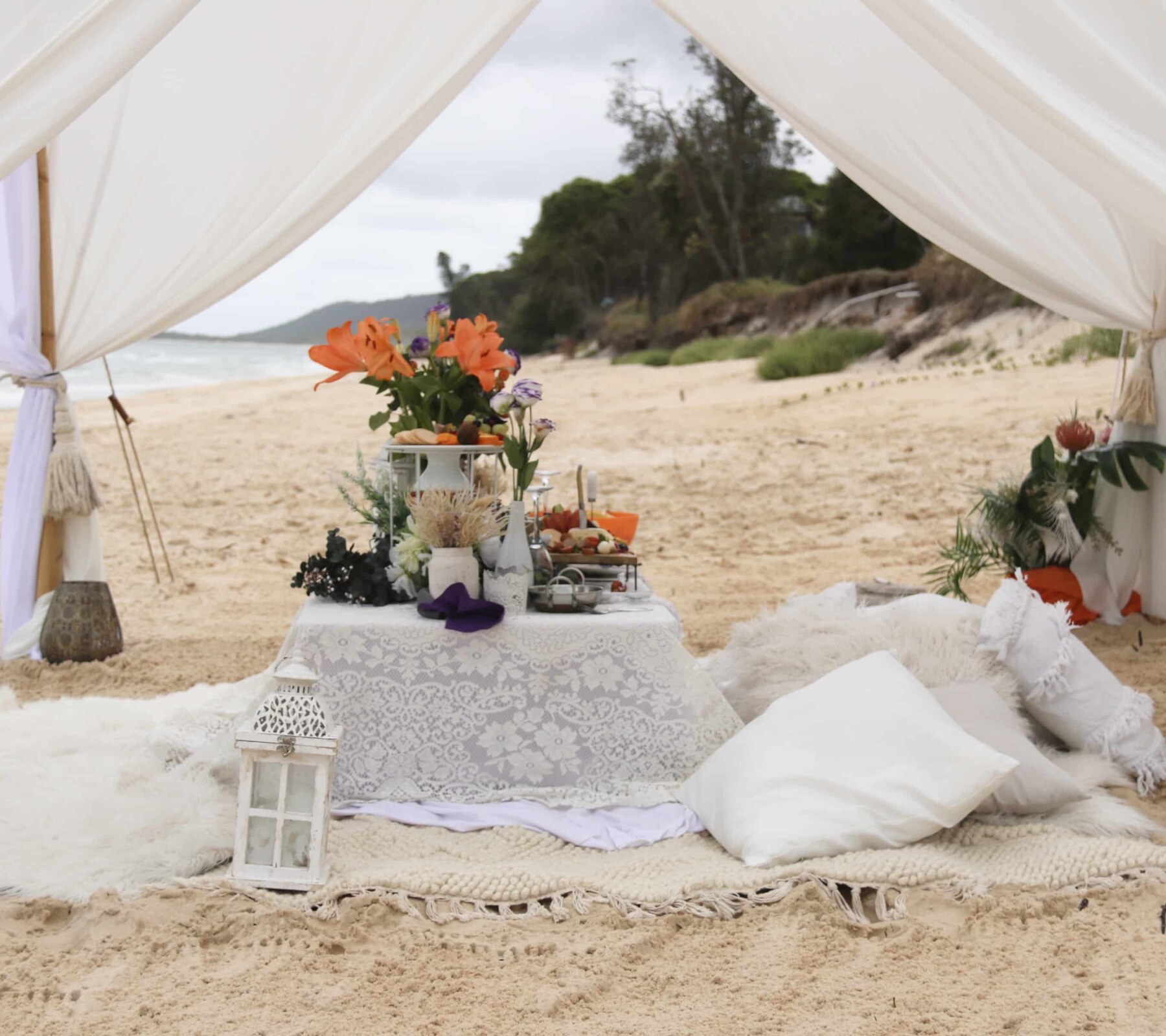 Proposal Picnic