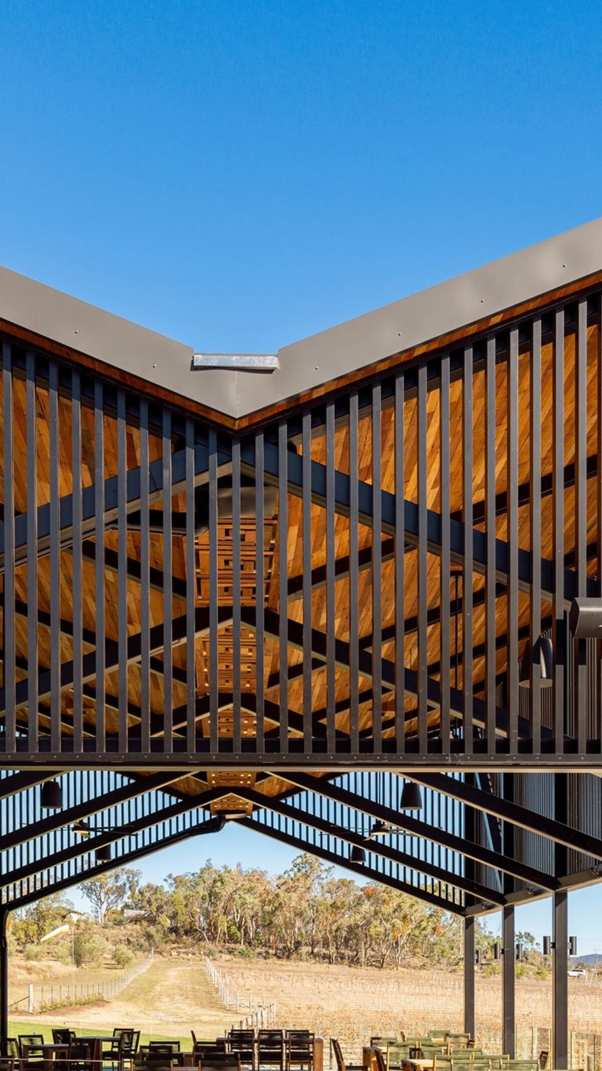 Contemporary timber architecture framing the vineyard at Meteora Vineyard.