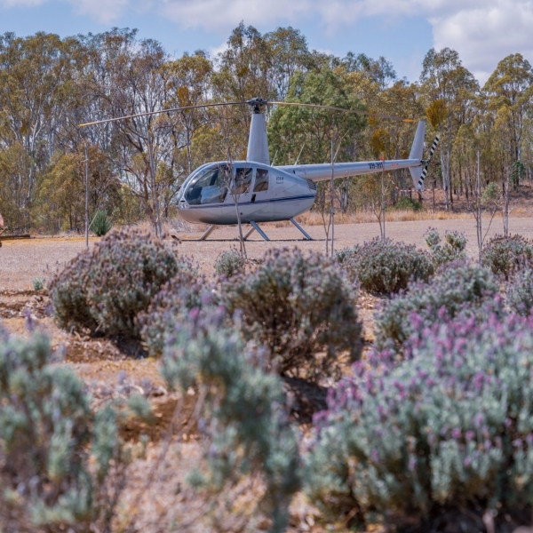 VH-HIP Kooroomba