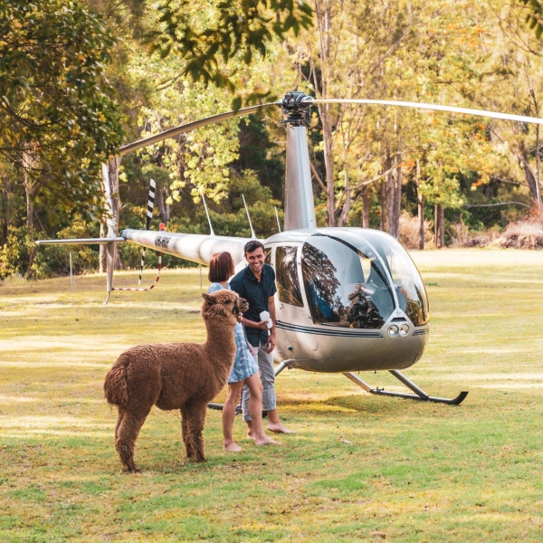 O'Reillys Canungra Valley and Alpaca Farm Mount View