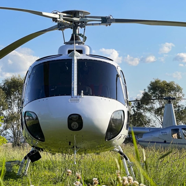 AS 350 Front